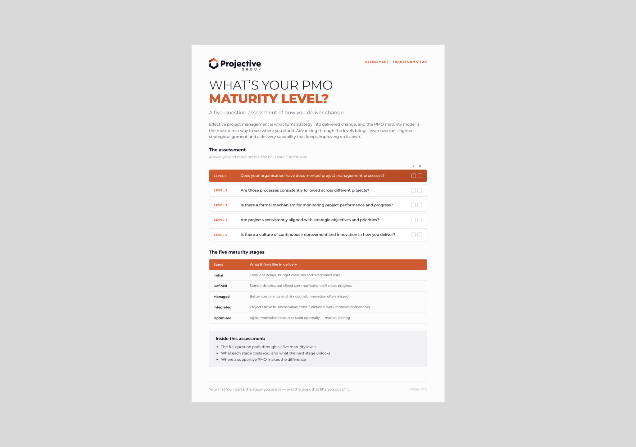 Mockup – Bewertung der PMO-Reife